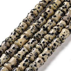 Natural Dalmatian Jasper  Beads Strands, Bamboo Stick, 12x8mm, Hole: 1.2mm, about 31pcs/strand, 14.88''(37.8cm)(G-D481-04)