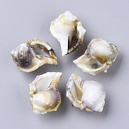 Acrylic Beads, Imitation Gemstone Style, Cone Shell, Floral White, 27.5x21.5x14mm, Hole: 1.8mm, about 207pcs/500g.(OACR-N130-013)