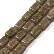 Natural China Unakite Beads Strands, Rectangle, 8~9x6.5~7x4mm, Hole: 0.8mm, about 45pcs/strand, 15.16 inch(38.5cm)(G-G085-A27-01)