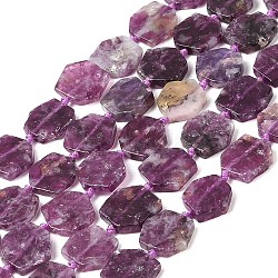 Natural Lepidolite Beads Strands, Hexagon, 13.5~18x14~18x3~4mm, Hole: 1mm, about 23~24pcs/strand, 15.35~ 15.75 inch(39~40cm)(G-L095-A01-01A)