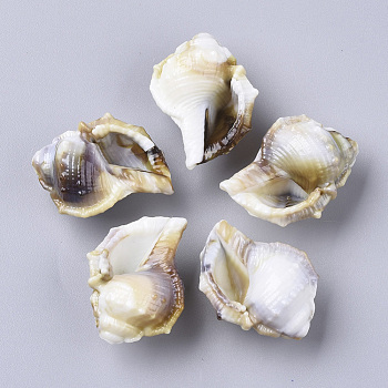 Acrylic Beads, Imitation Gemstone Style, Cone Shell, Floral White, 27.5x21.5x14mm, Hole: 1.8mm, about 207pcs/500g.
