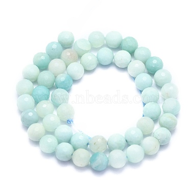 Natural Amazonite Beads Strands(G-K310-A02-8mm)-2