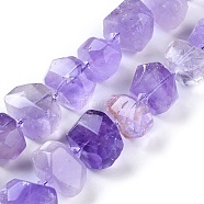 Natural Amethyst Beads Strands, Faceted, Nuggets, 12~14x16~21.5x10~14mm, Hole: 0.7mm, about 24pcs/strand, 15.3 inch(39cm)(G-F653-07)