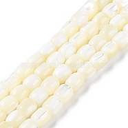 Natural Trochus Shell Beads Strands, Barrel, Floral White, 8x7.5mm, Hole: 1mm, about 50pcs/strand, 15.67''(39.8cm)(BSHE-E030-05A)