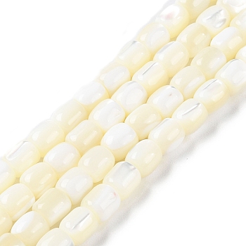 Natural Trochus Shell Beads Strands, Barrel, Floral White, 8x7.5mm, Hole: 1mm, about 50pcs/strand, 15.67''(39.8cm)