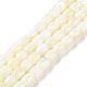 brins de perles de coquillages naturels de troca(BSHE-E030-05A)-1