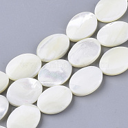 Natural Trochid Shell/Trochus Shell Beads Strands, Oval, Creamy White, 18x13x4.5~5.5mm, Hole: 1mm, about 22pcs/Strand, 15.55 inch(SHEL-T013-006B-03)
