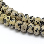 Faceted Natural Dalmatian Jasper Rondelle Beads Strands, 8x5mm, Hole: 1mm, about 76pcs/strand, 15.2 inch(X-G-K090-03)