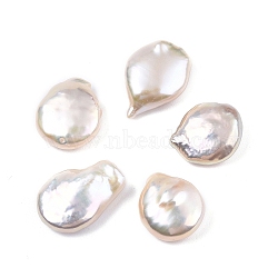 Natural Baroque Keshi Pearl Beads, Freshwater Pearl Beads, No Hole, Nuggets, Floral White, 15~18x13~13.5x5~6mm(PEAR-N020-L13)
