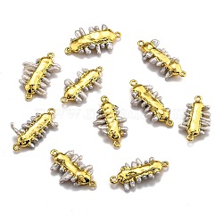 Natural Pearl Links connectors, with Brass Findings, Bar, Golden, 26.5~40x17.5~25x4~6mm, Hole: 1.5mm(PEAR-F011-40G)
