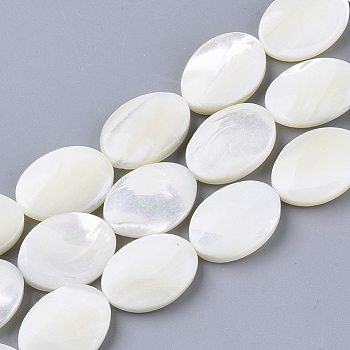 Natural Trochid Shell/Trochus Shell Beads Strands, Oval, Creamy White, 18x13x4.5~5.5mm, Hole: 1mm, about 22pcs/Strand, 15.55 inch