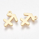 Ion Plating(IP) 304 Stainless Steel Charms(X-STAS-S107-06C)-1