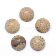 Natural Picture Jasper Cabochons, Half Round, 10x4~5mm(G-P393-R51-10mm)