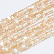 Natural Trochid Shell/Trochus Shell Beads Strands, Column, Bisque, 3.5~4x2~2.5mm, Hole: 0.8mm, about 176pcs/strand, 15.94 inch(40.5cm)(X-SSHEL-L016-13B)