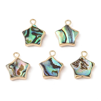 Natural Paua Shell Star Charms with Brass Edge, Golden, 15x12.5x4mm, Hole: 1.8mm