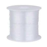 Nylon Wire, Clear, 0.2mm, about 142.16 yards(130m)/roll(NWIR-R0.2MM)