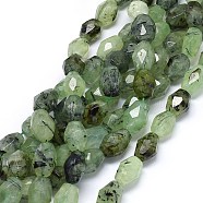 Natural Prehnite Beads Strands, Faceted, Drum, 16~21x13~15mm, Hole: 1.2mm, about  20~22pcs/strand, 15.3 inch(G-O173-025)