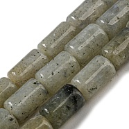 Natural Labradorite Beads Strands, Column, 10x6mm, Hole: 0.8mm, about 40pcs/strand, 15.67''(39.8cm)(G-M420-E01-03)