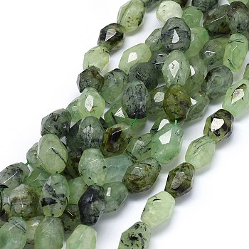 Natural Prehnite Beads Strands, Faceted, Drum, 16~21x13~15mm, Hole: 1.2mm, about  20~22pcs/strand, 15.3 inch