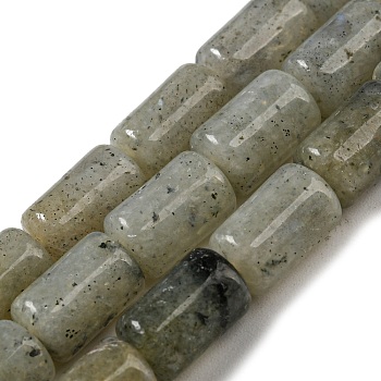 Natural Labradorite Beads Strands, Column, 10x6mm, Hole: 0.8mm, about 40pcs/strand, 15.67''(39.8cm)