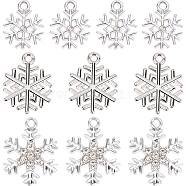 36Pcs 3 Style Alloy Pendants. Snowflake Charm, Platinum, 16~22x13~17x1.7~3mm, Hole: 1.6~2mm, 12pcs/style(FIND-SC0004-64)