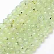 Natural Prehnite Beads Strands, Round, 8mm, Hole: 1mm, about 49pcs/strand, 15.3 inch(39cm)(G-P322-47-8mm)