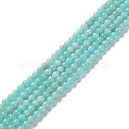 Natural Amazonite Beads Strands, Round, Grade A, 4mm, Hole: 0.8mm, about 89pcs/strand, 14.96 inch(38cm)(G-F461-12-4mm-01)