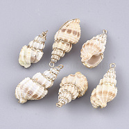 Electroplate Spiral Shell Pendants, with Iron Findings, Light Gold, 25~33x13~15x11~13mm, Hole: 1.8mm(SSHEL-T007-04B)