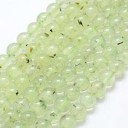 Natural Prehnite Beads Strands, Round, 8mm, Hole: 1mm, about 49pcs/strand, 15.3 inch(39cm)(G-P322-47-8mm)