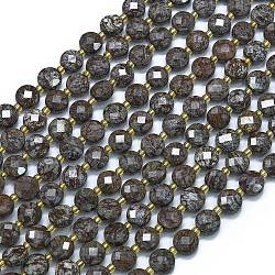 Natural Red Snowflake Obsidian Beads Strands, with Seed Beads, Faceted, Flat Round, 6~6.5x4mm, Hole: 1mm, about 50pcs/strand, 15.35''(39cm)(G-K389-B37-01)