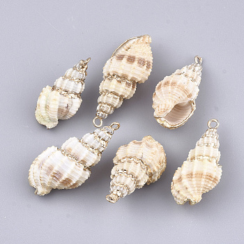 Electroplate Spiral Shell Pendants, with Iron Findings, Light Gold, 25~33x13~15x11~13mm, Hole: 1.8mm