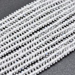 Natural Rainbow Moonstone Beads Strands, Faceted, Bicone, 2~2.5x1~1.5mm, Hole: 0.5mm, about 268~298pcs/strand, 15.35 inch(39cm)(G-F686-15B-01)