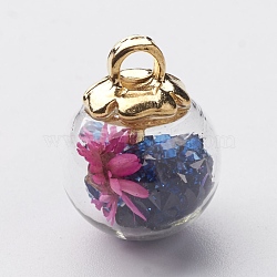 Glass Ball Pendants, with CCB Plastic Findings, Random Dried Flower and Rhinestone, Dark Blue, 23.5x18.5mm, Hole: 3.5mm(GLAA-N0020-02D-A)