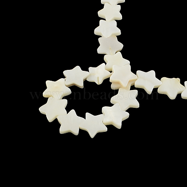 Star Shape Natural Sea Shell Beads Strands(SSHEL-F290-18B)-2