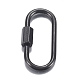 304 Stainless Steel Screw Carabiner Lock Charms(STAS-H107-04A)-2