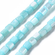 Natural Trochid Shell/Trochus Shell Bead Strands, Dyed, Column, Sky Blue, 3.5x3.5mm, Hole: 1mm, about 111~117pcs/strand, 15.35 inch~15.94 inch(39~40.5cm)(SSHEL-N034-77-C04)