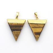 Natural Gemstone Triangle Pendants, with Golden Tone Brass Findings, 30~40x21~29x4mm, Hole: 8x5mm(G-P053-G15B)