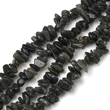 Natural Labradorite Chip Bead Strands, 5~8x5~8mm, Hole: 1mm, about 31.5 inch