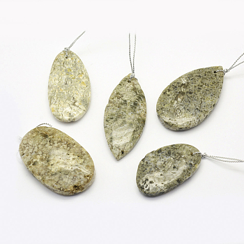 Natural Fossil Pendants, Mixed Shapes, 30~66x18~52x3~14mm, Hole: 2mm