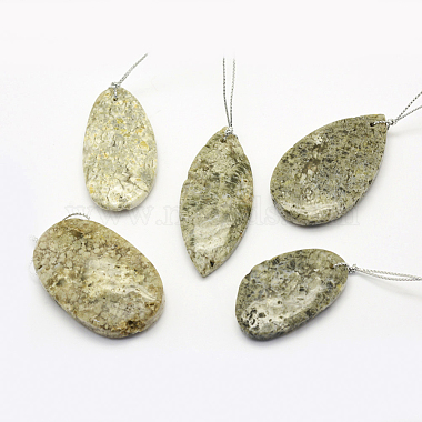 Mixed Shapes Fossil Pendants