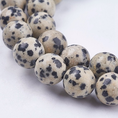 Natural Dalmatian Jasper Stone Bead Strands(X-G-R193-14-10mm)-3
