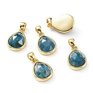 Natural Apatite Charms, with Golden Plated Brass Findings, Faceted Teardrop, 14.5x10x5.5mm, Hole: 4mm(G-L553-47G)