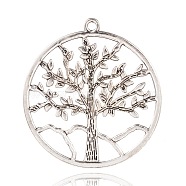Tibetan Style Tree of Life Big Alloy Pendants, Antique Silver, 62x57x1.5mm, Hole: 3.5mm(PALLOY-I114-37AS)
