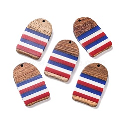 Independence Day Opaque Striped Resin & Walnut Wood Pendants, Geometric Charms, Arch, 37.6x22.4x3.7mm, Hole: 2mm(RESI-U010-02Y)