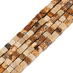 Natural Picture Jasper Beads Strands, Cube, 3.5x3.5x3.5mm, Hole: 0.7mm, about 110pcs/strand, 15.16''(38.5cm)(G-B129-A06-01)