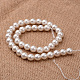 Polished Round Grade A Shell Pearl Bead Strands(BSHE-M027-6mm-28)-2