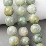 Natural Chinese Jade Beads Strands, Smooth Round, 16mm, Hole: 1.2mm, about 24~25pcs/strand, 15.16~15.79''(38.5~40.1cm)(G-A310-A02-16mm)