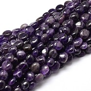 Nuggets Natural Amethyst Beads Strands, Tumbled Stone, 9~12x8~13x5~7mm, Hole: 1mm, about 15.3 inch~15.7 inch(X-G-J336-12)