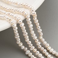 Natural Cultured Freshwater Pearl Beads Strands, Potato, PapayaWhip, 2.5~3mm, Hole: 0.5mm, about 82~83pcs/strand, 7.09 inch(18cm)(PEAR-C003-06F)