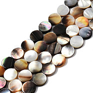 Natural Black Lip Shell Beads Strands, Flat Round, 10x2.5~3mm, Hole: 0.8mm, about 40pcs/strand, 15.35 inch(39cm)(SSHEL-N003-151B)